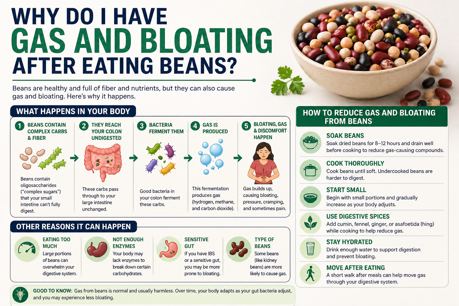 Why Do I Have Gas And Bloating After Eating Beans