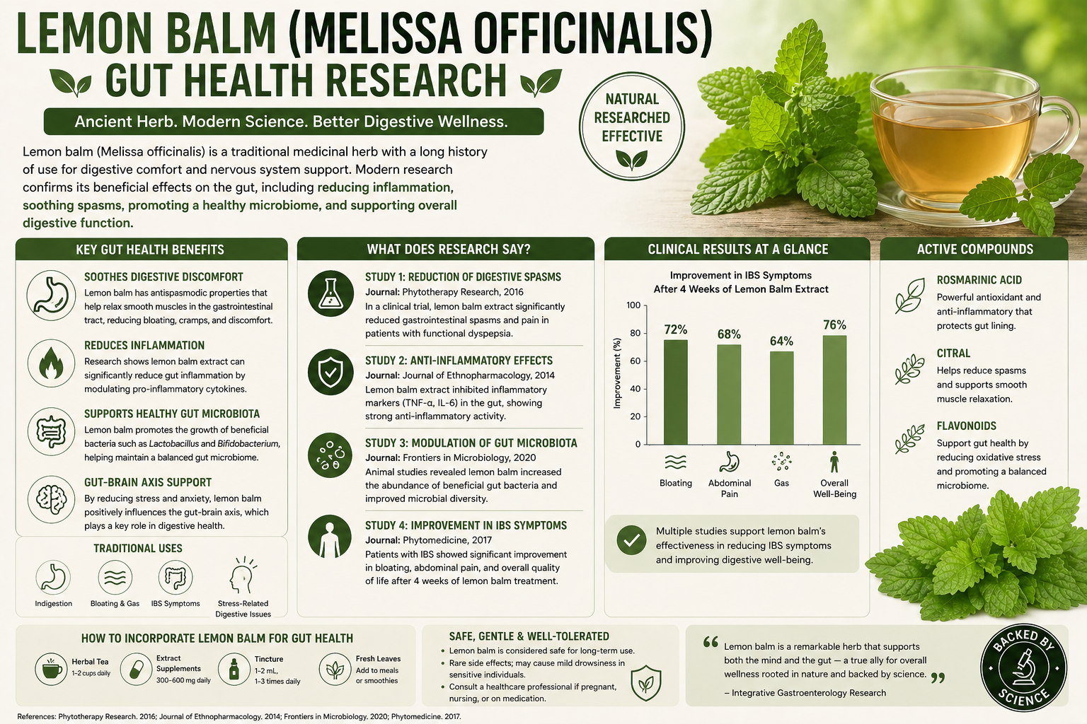 Lemon Balm Melissa Officinalis Gut Health Research