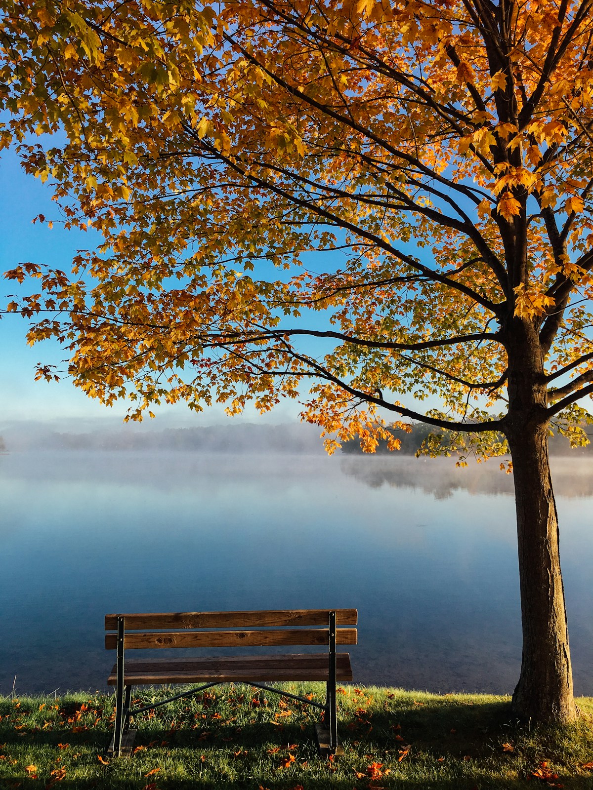 Nature Exposure And Cortisol Reduction Research