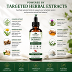 A liquid herbal supplement bottle labeled 'Verdant Wellness Lymphatic Drainage Drops' centered on a light textured background with green text reading 'Powered by Targeted Herbal Extracts.' Surrounding the bottle are circular ingredient callouts including cleavers, milk thistle, turmeric extract, dandelion root, burdock root, ginger root, and magnesium, plus benefit claims at the bottom.