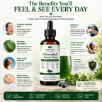 Verdant Wellness Chlorophyll + Beauty Drops bottle with benefits listed on a green background