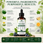Bottle of Verdant Wellness Chlorophyll Beauty Drops with ingredients listed on a natural background