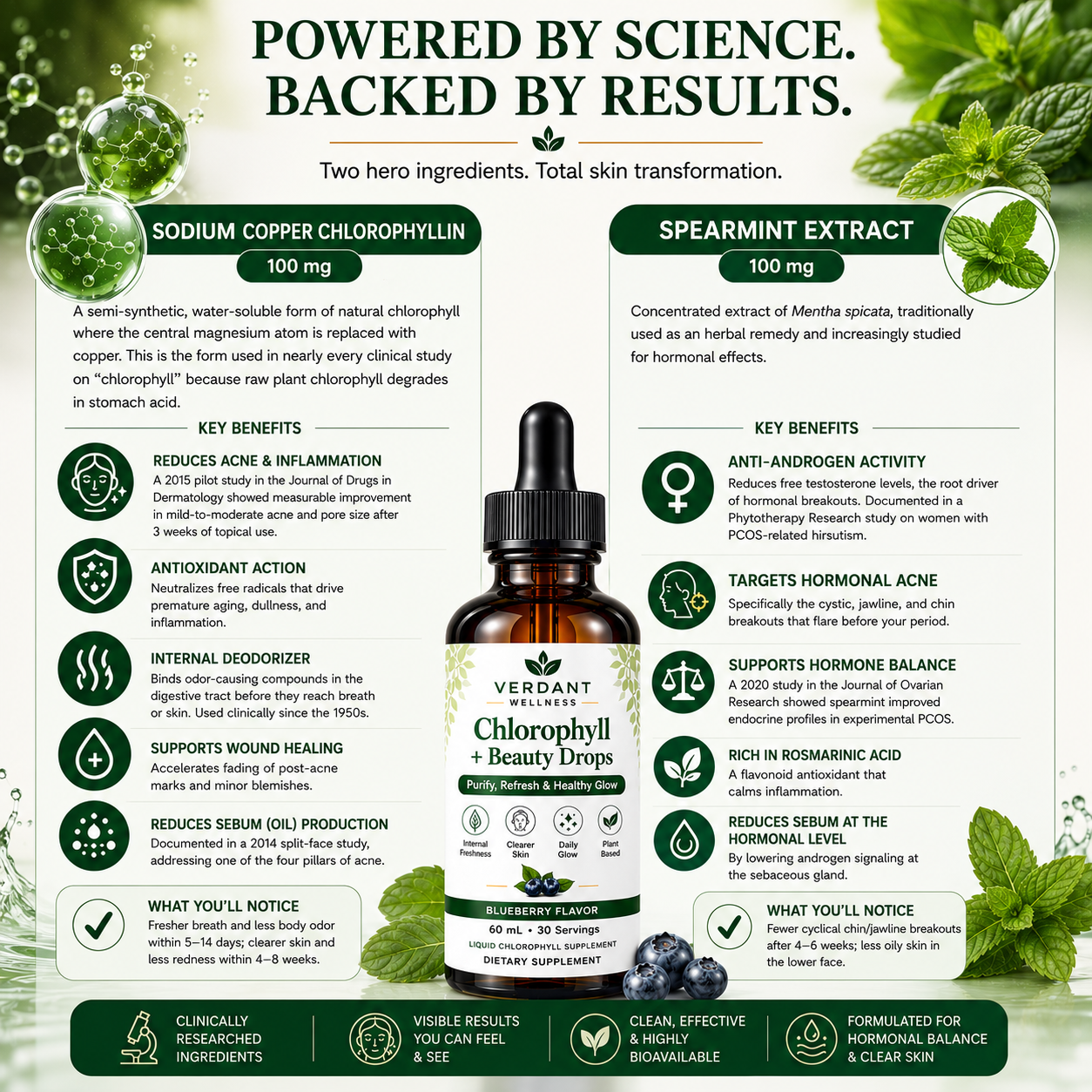 Product packaging with text about sodium copper chlorophyllin and spearmint extract, featuring a bottle labeled 'Verdant Chlorophyll Beauty Drops'.