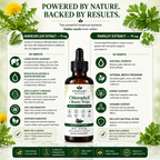 Verdant Chlorophyll Beauty Drops supplement bottle with botanical extracts and health benefits on a white background.