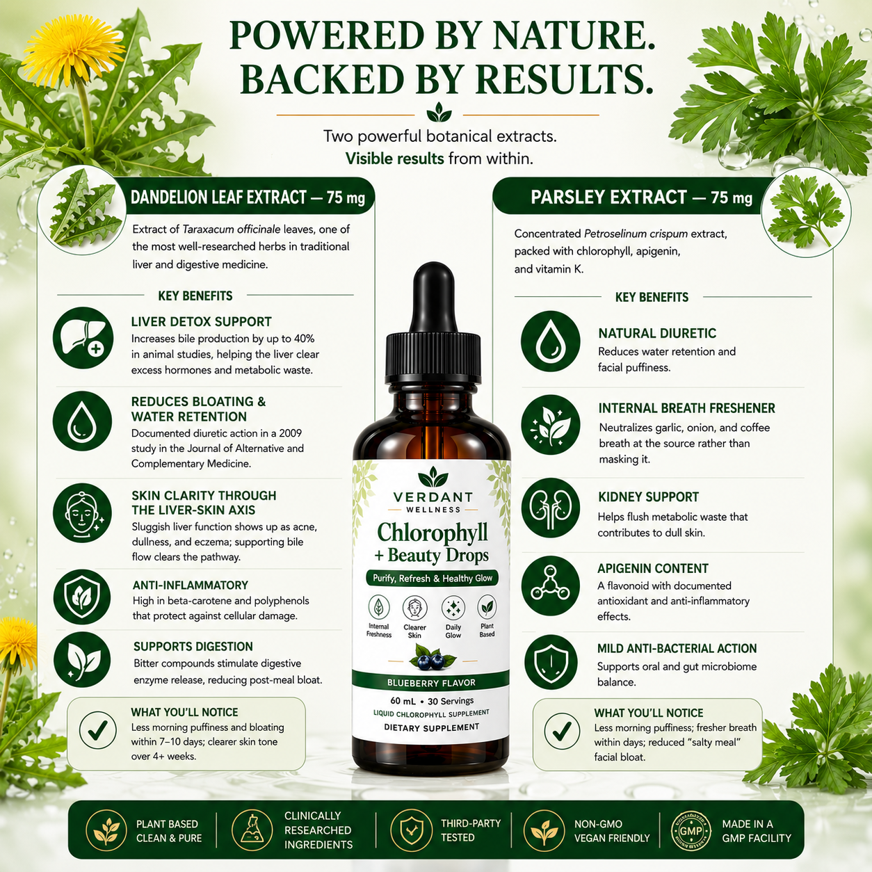 Verdant Chlorophyll Beauty Drops supplement bottle with botanical extracts and health benefits on a white background.