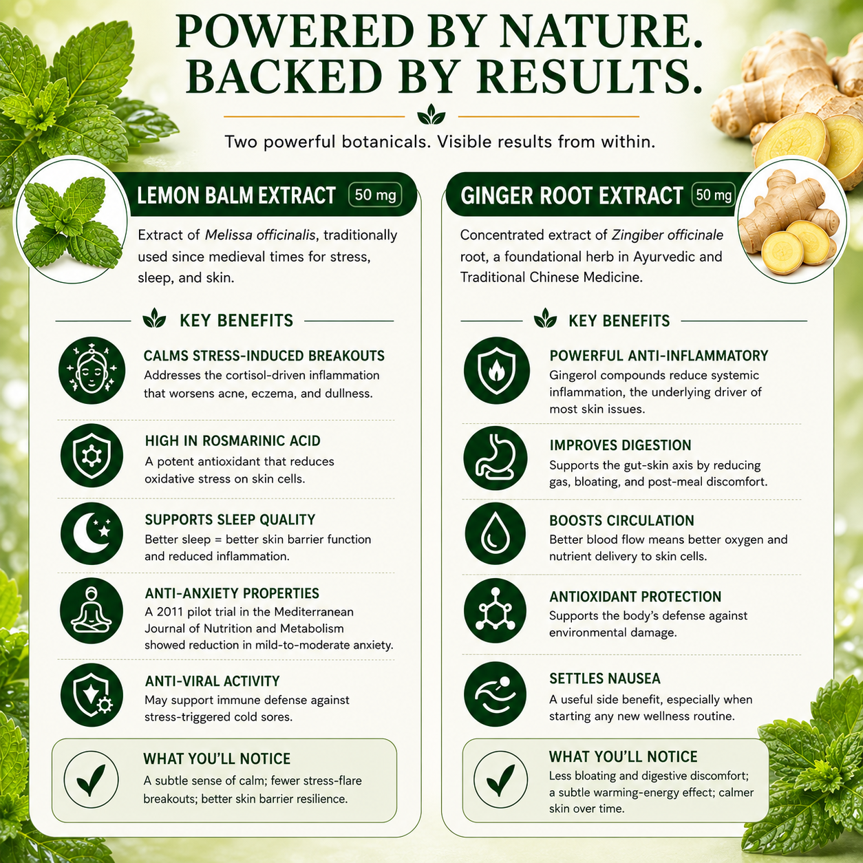 Product information card for lemon balm extract and ginger root extract with botanical imagery.