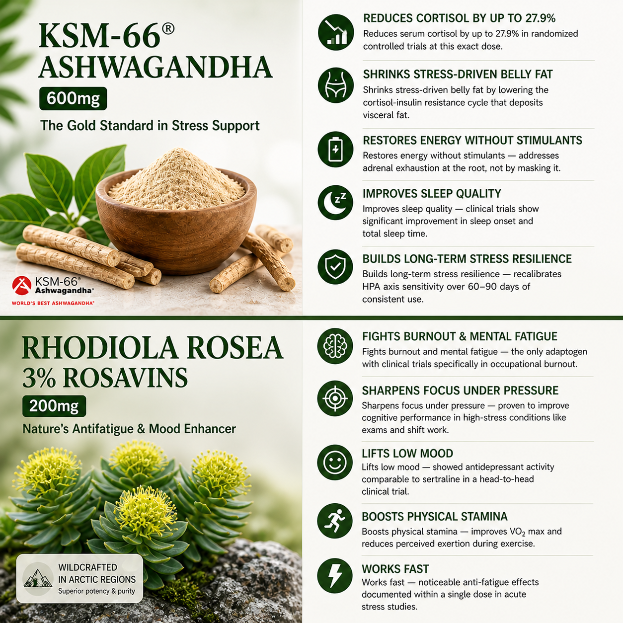 KSM-66 Ashwagandha and Rhodiola Rosea