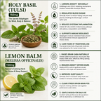 Holy Basil (Tulsi) and Lemon Balm (Melissa Officinalis)