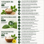 Vitamins B6, B12, and B5 with their benefits and uses on a white background.