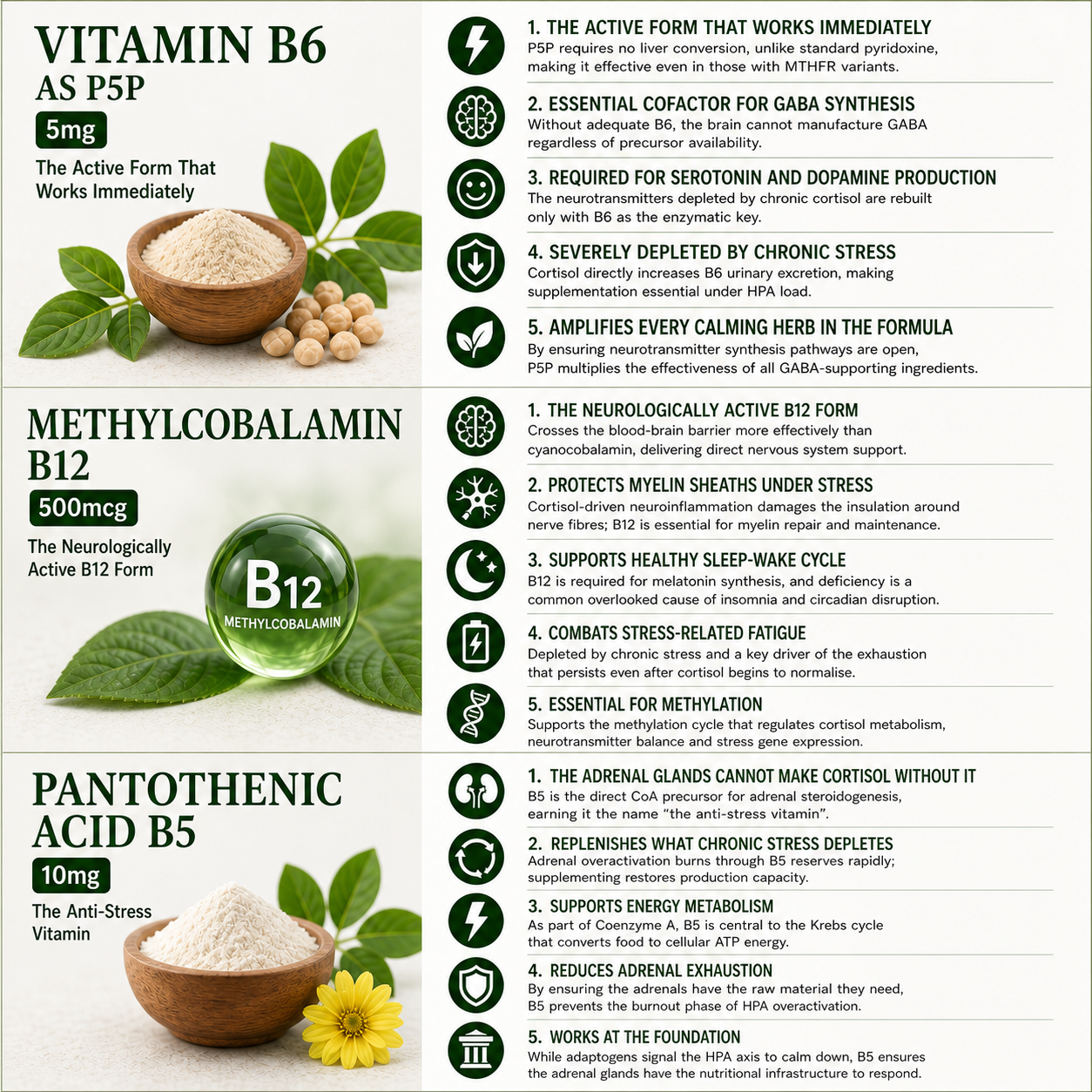 Vitamins B6, B12, and B5 with their benefits and uses on a white background.