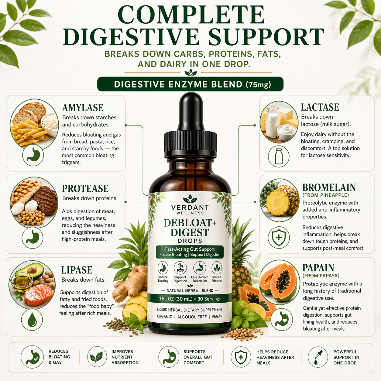 Verdant Debloat Digest drops bottle with digestive enzyme blend information on a white background.