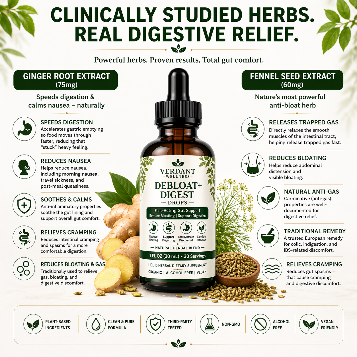 Verdant Deblow + Digest drops bottle with herbal ingredients and benefits on a white background