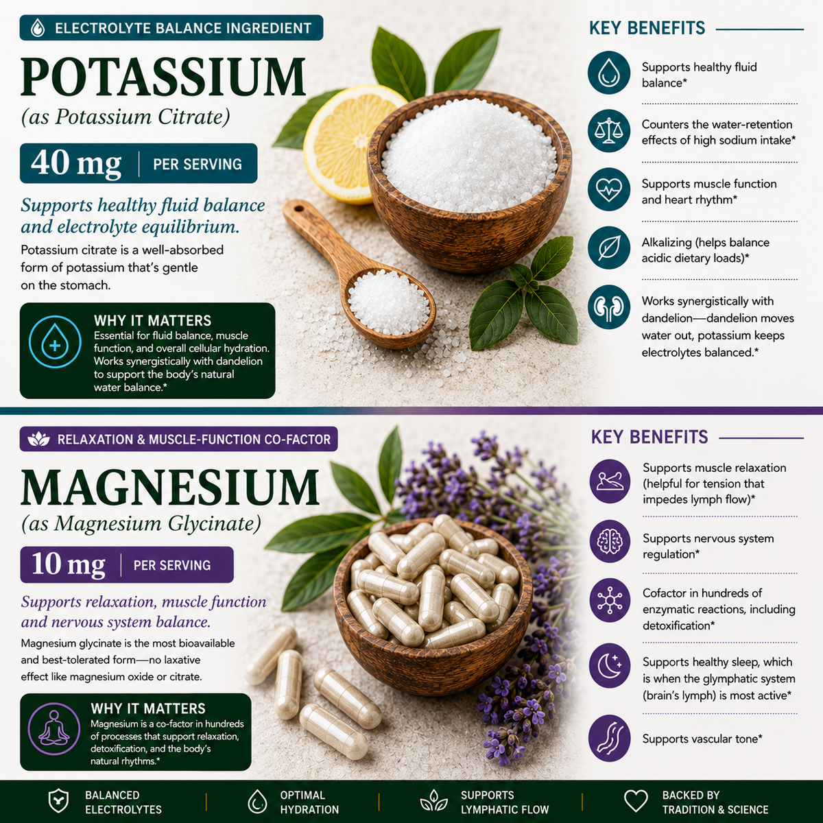 An infographic banner for electrolyte balance ingredients, featuring two product sections: 'Potassium (as Potassium Citrate)' and 'Magnesium (as Magnesium Glycinate)'. Each section includes descriptive text, key benefits, and illustrative food props like a lemon, a wooden bowl of white crystals, and green leaves/lavender, all set against a dark green background with a dark green header and footer.
