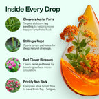 Verdant™ Lymphatic Drainage Drops