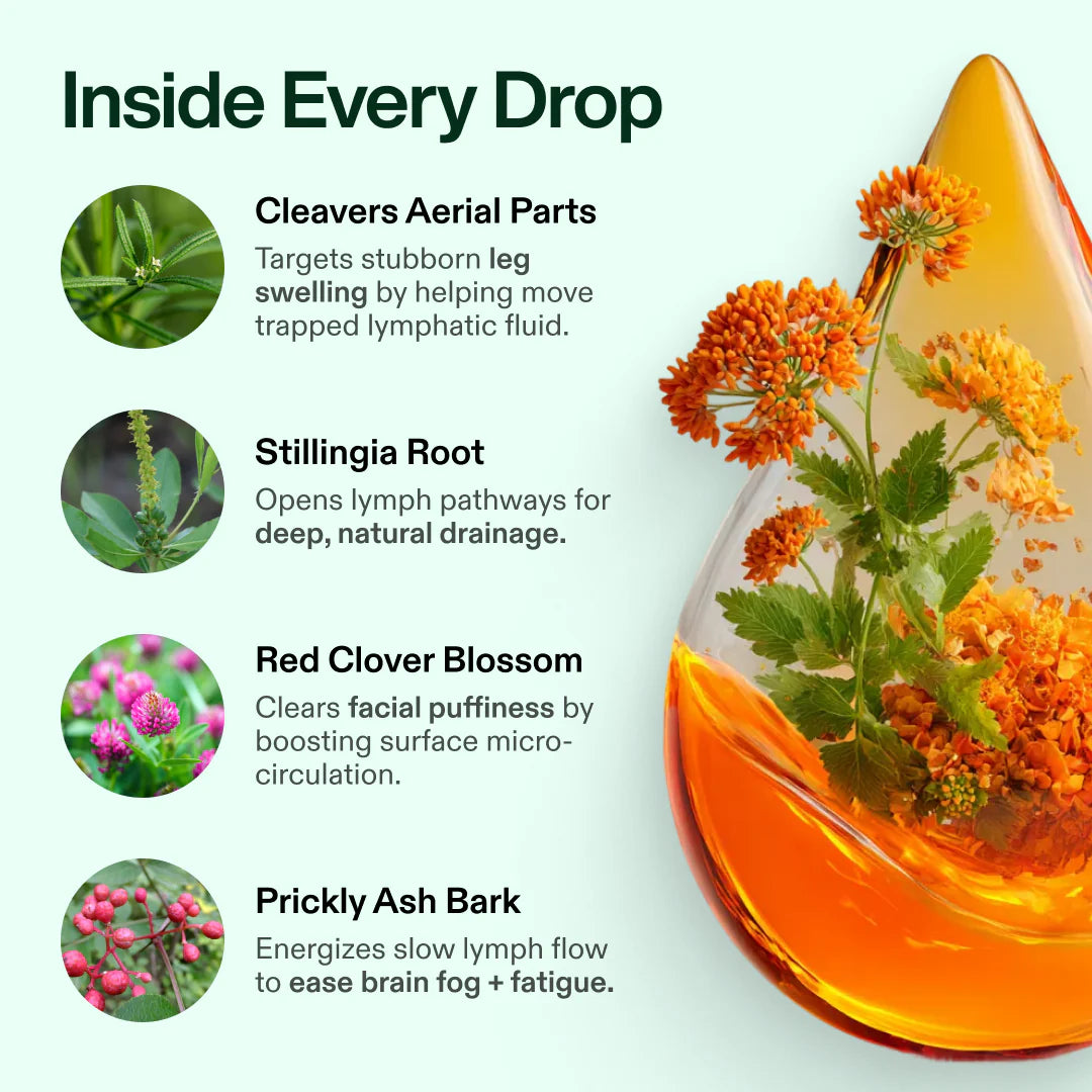 Verdant™ Lymphatic Drainage Drops